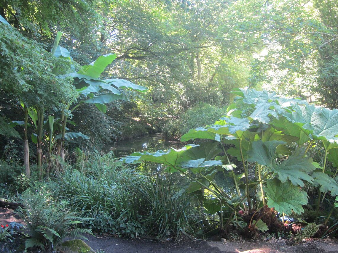Ambiance tropicale au jardin Chevassu