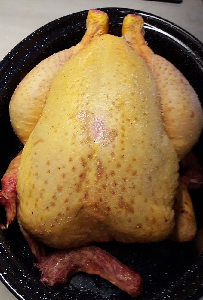 Gros poulet de Gestel... 4 kg ! 